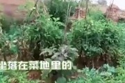 恐怖房子恐怖房子 